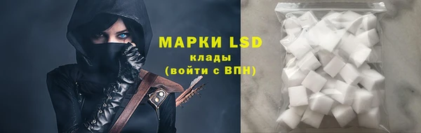 spice Богданович