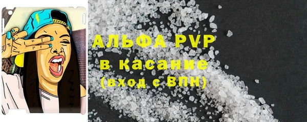 дурь Бородино