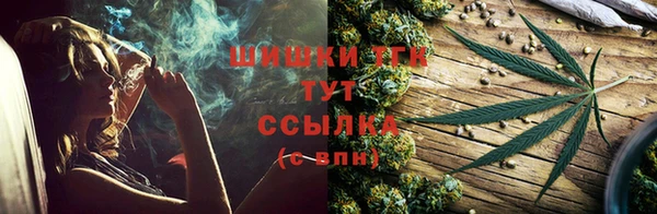 spice Богданович