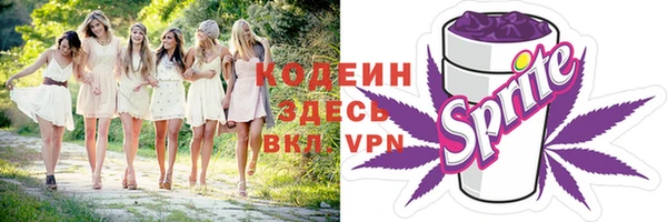 дурь Бородино