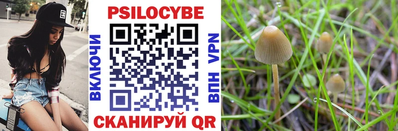 Псилоцибиновые грибы MAGIC MUSHROOMS  hydra сайт  Кузнецк  где купить наркоту 